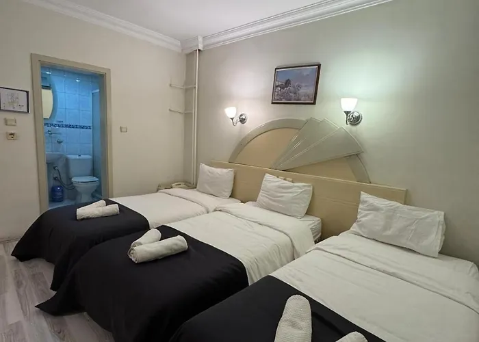 Hotel S Celik Royal *